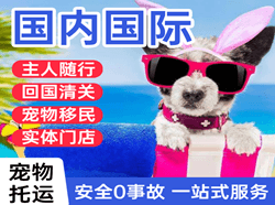 伊春林都空运地址国际宠物托运 【国
